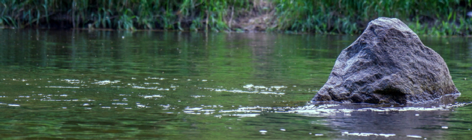 Wiese-Loerrach7 Wiese-Loerrach7