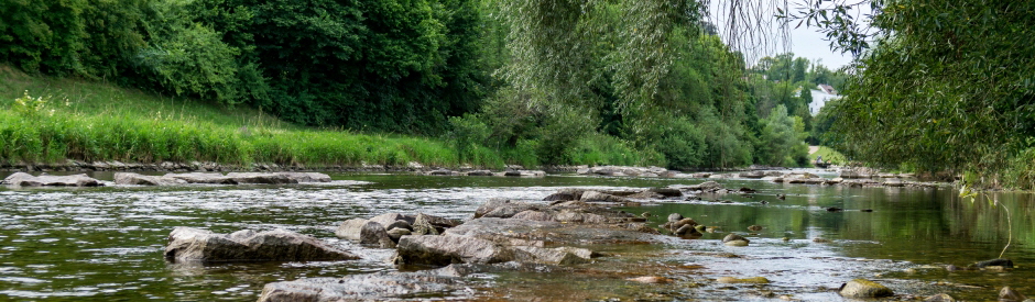 Wiese-Loerrach4