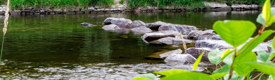 Wiese-Loerrach5