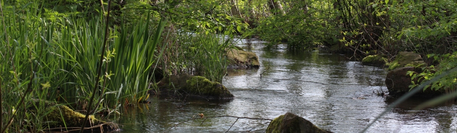 gruetbach
